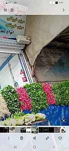 سبزی فروشی امیر رسولی