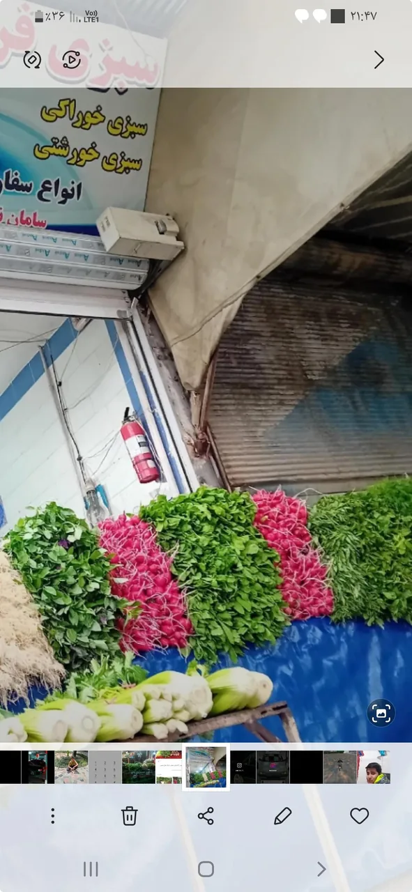 سبزی فروشی امیر رسولی