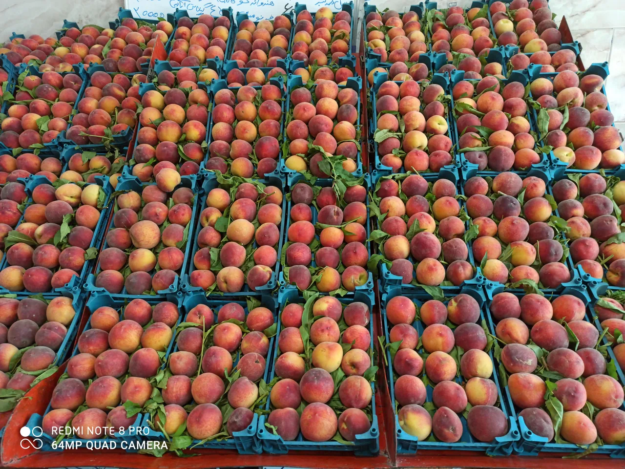 میوه فروشی خسروی - تصویر 2