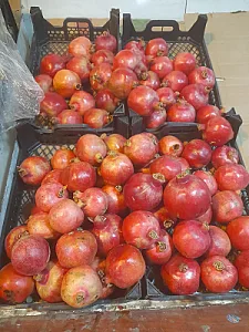 میوه فروشی ابدال
