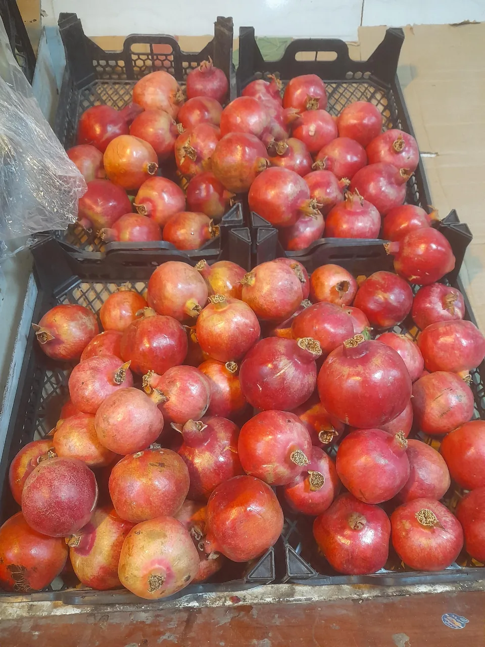 میوه فروشی ابدال