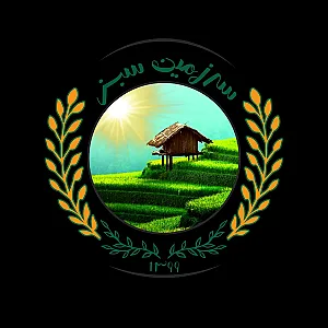 سبزیجات آماده سرزمین سبز