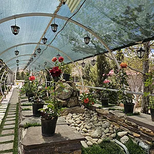 رستوران سنتی پاکوبه