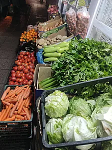 میوه فروشی استکی