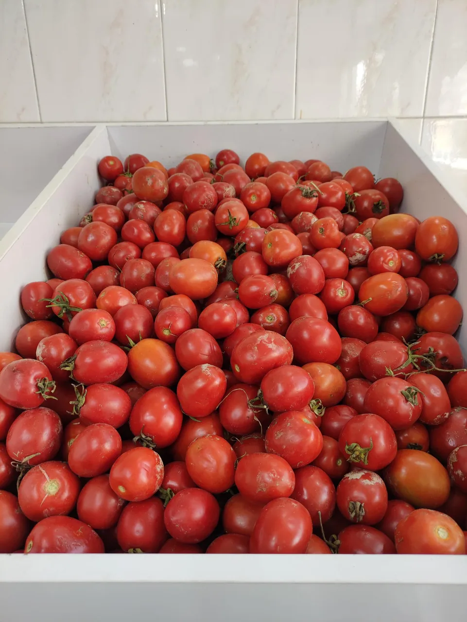 میوه فروشی استکی - تصویر 4