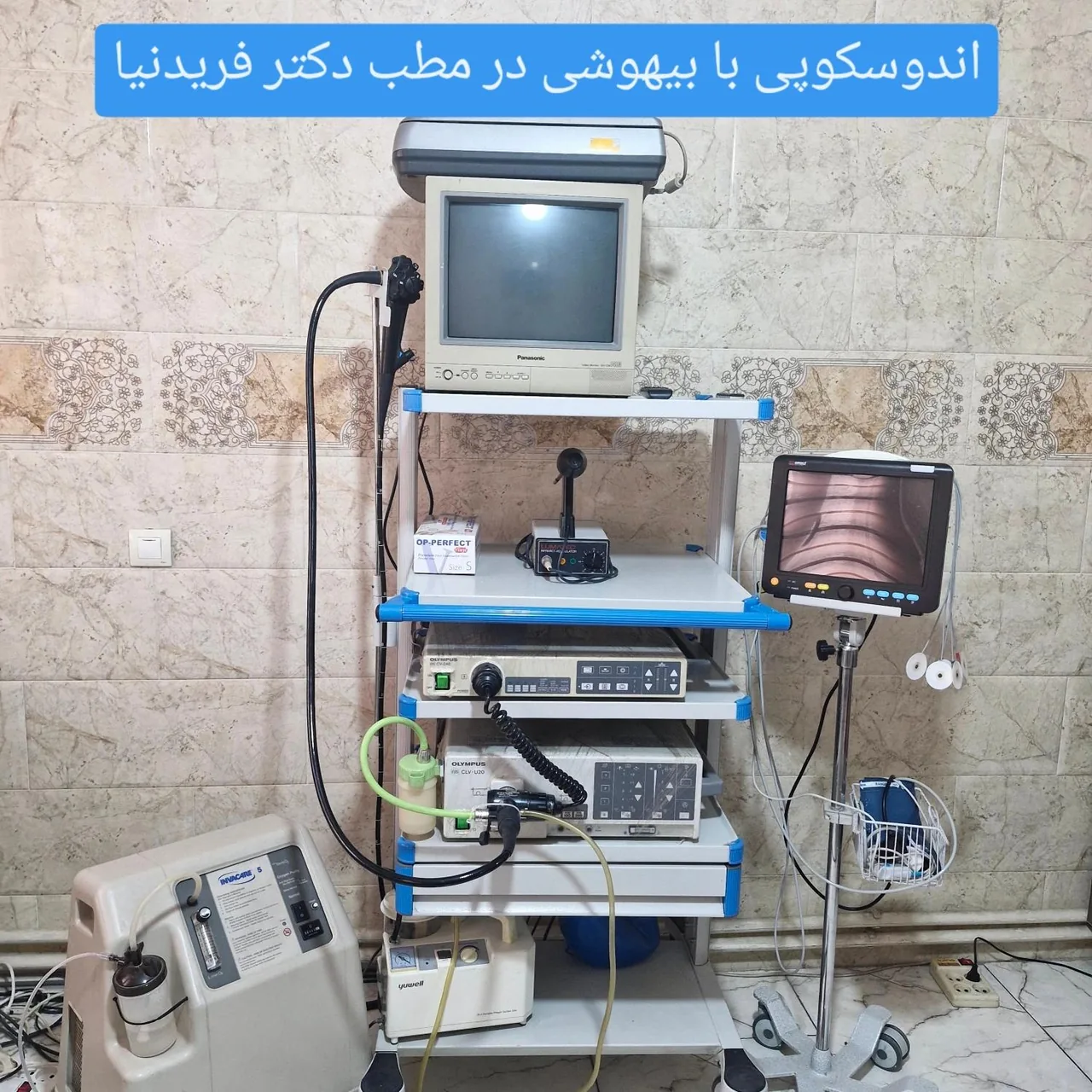 دکتر منصوره فریدنیا - تصویر 3