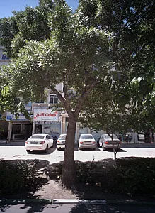 خدمات مسافرت هوایی جهانگردی و زیارتی هفت گنج توس