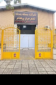 شرکت پرهام