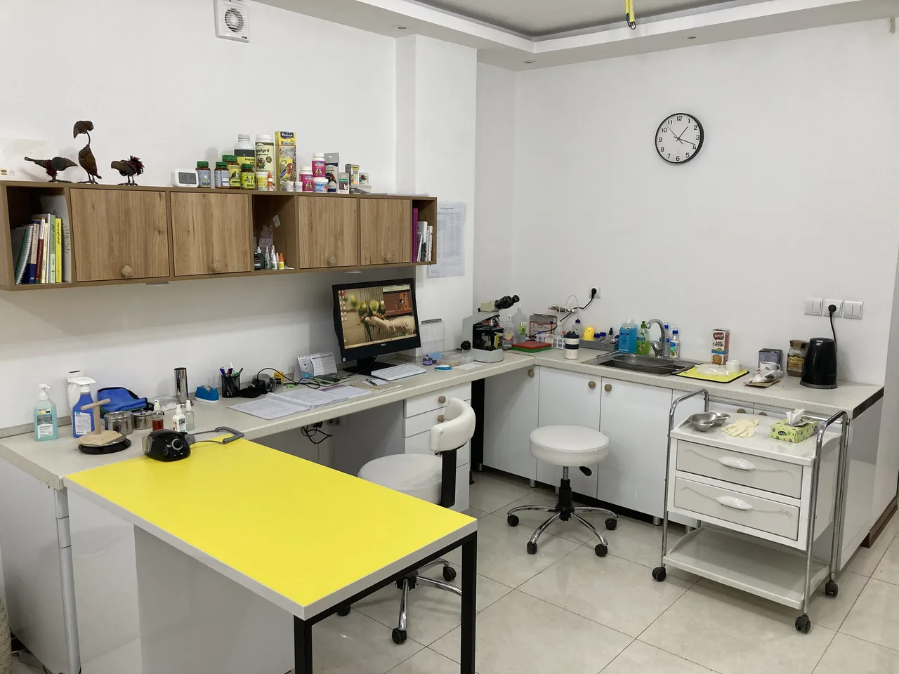 کلینیک دامپزشکی دکتر ربیعی - تصویر 2