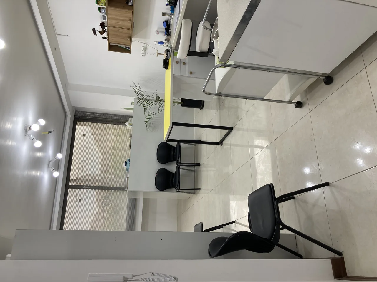کلینیک دامپزشکی دکتر ربیعی - تصویر 3