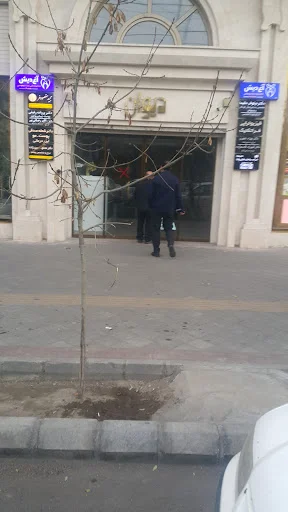 مطب دکتر محمود حسن زاده