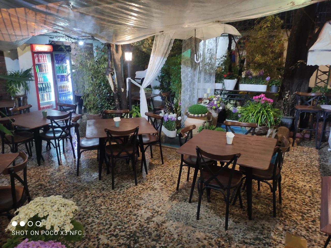کافه رستوران عتیق - تصویر 4