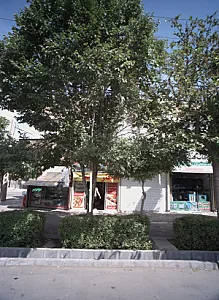 خدمات فنی نوین