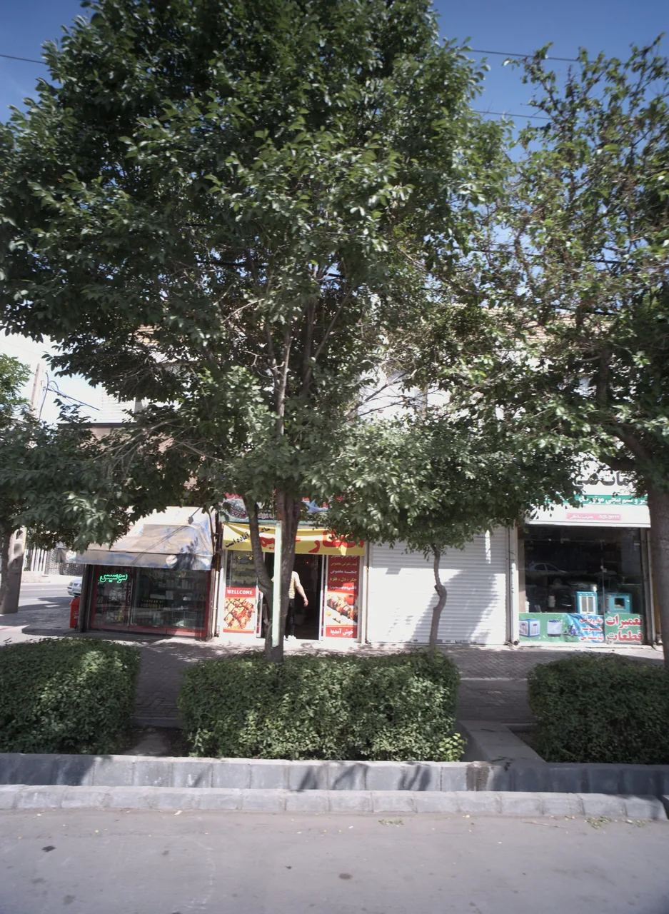 خدمات فنی نوین
