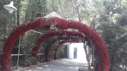 باغ رستوران پارادیس