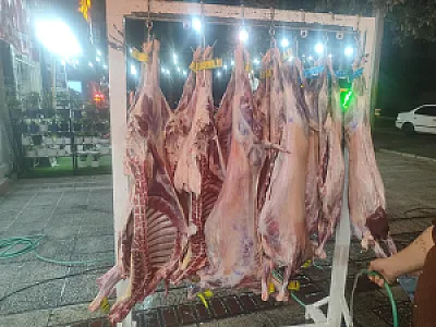 رستوران و بیرون بر اردیبهشت شیراز