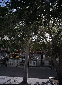 خدمات فنی چمنی