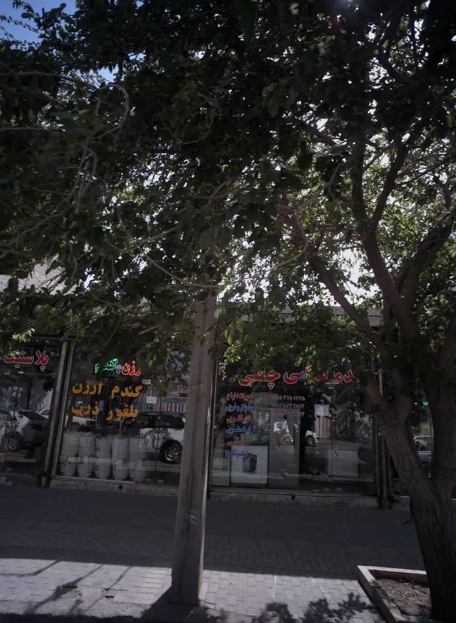 خدمات فنی چمنی
