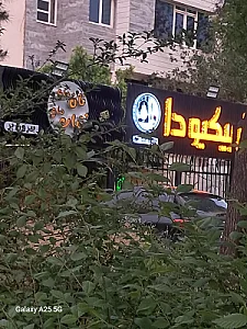 باربیکیو آرا