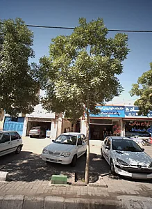 خدمات خودرویی ابراهیمی