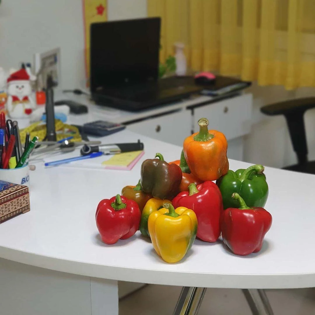 مطب دکتر ریحانه برکتین - تصویر 5