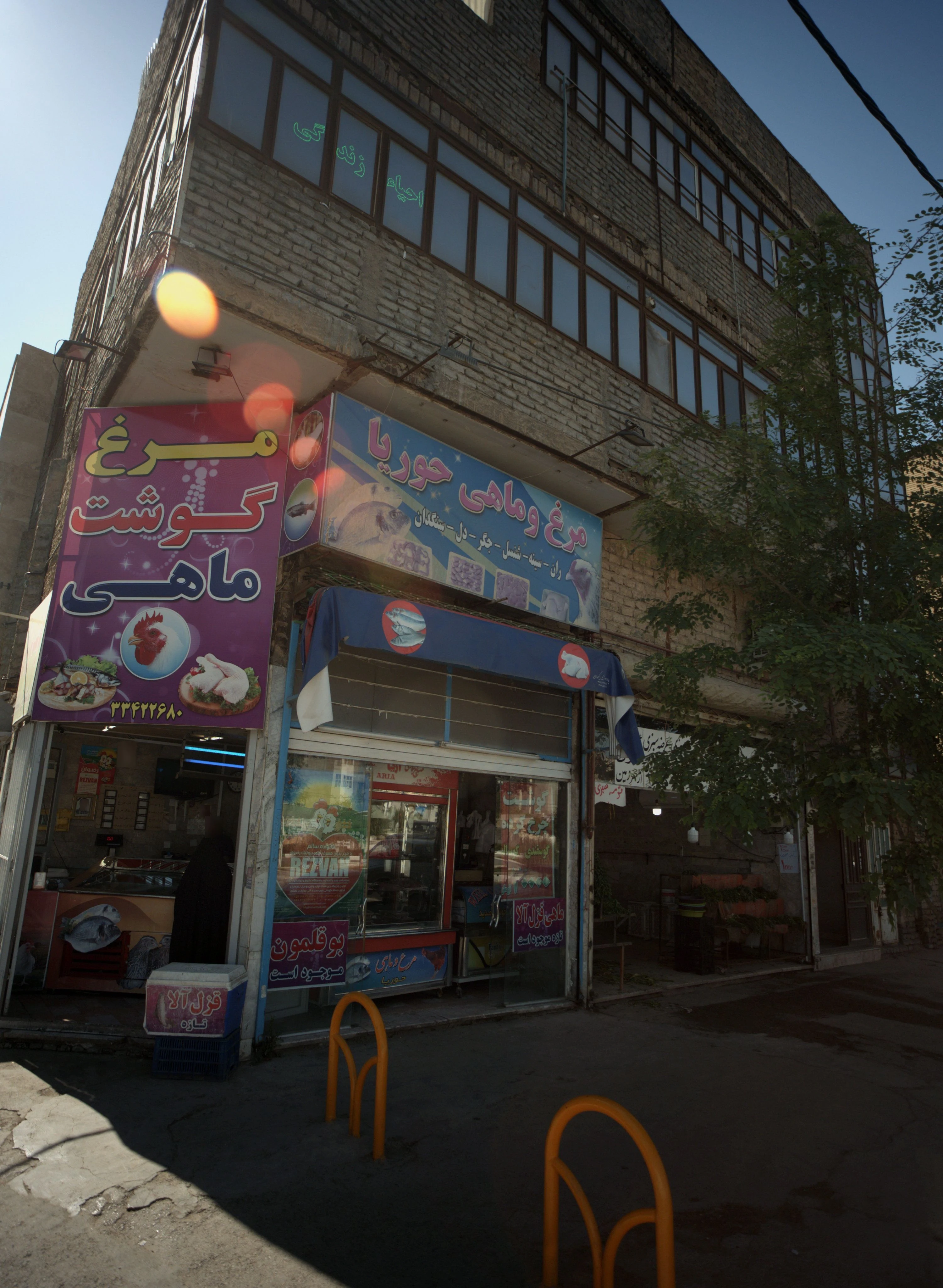 مرغ و ماهی حوریا - گوشت، مرغ و پروتئینی در مشهد