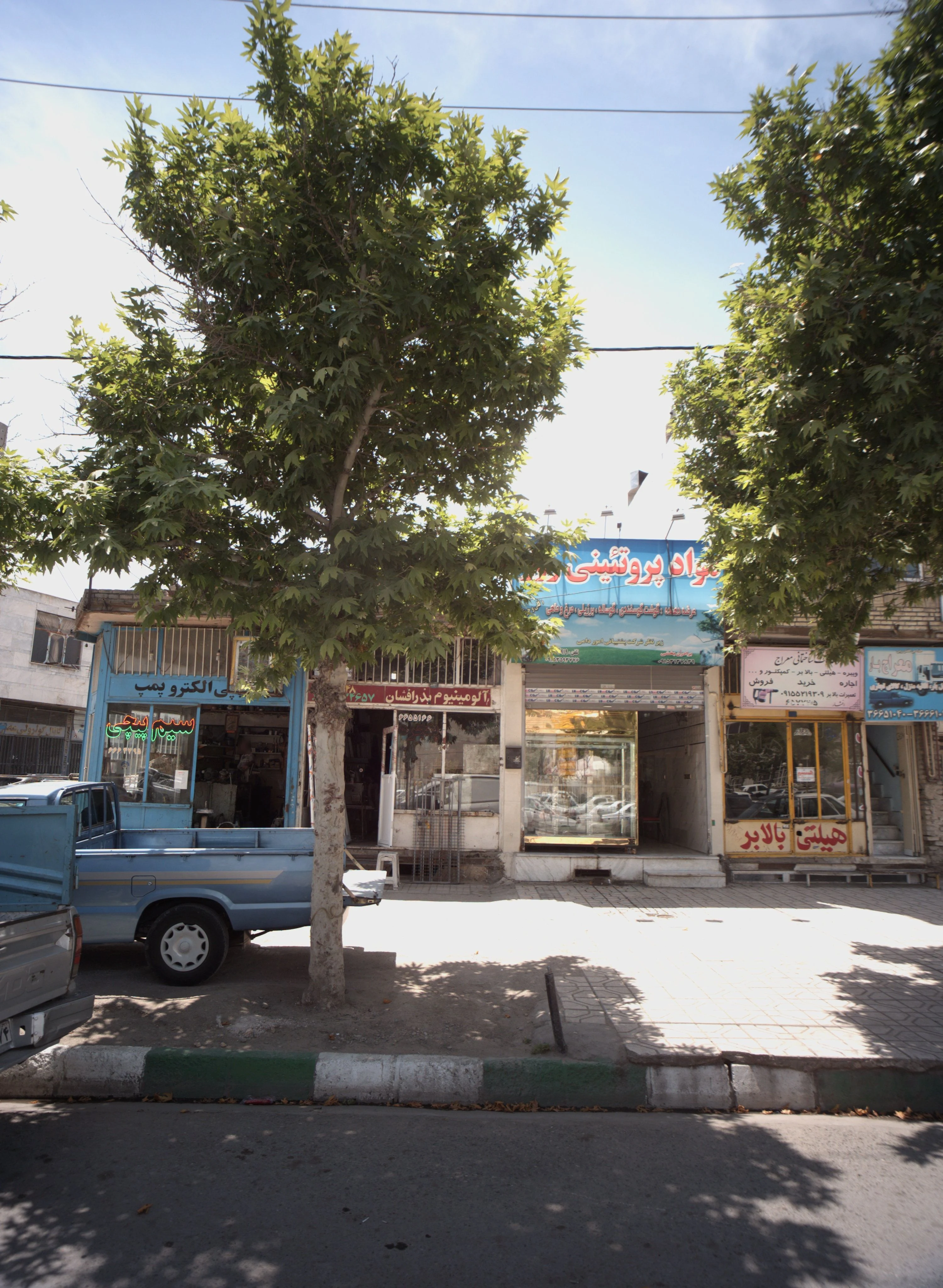 مواد پروتئینی روز - گوشت، مرغ و پروتئینی در مشهد