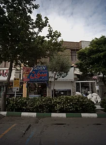 مواد پروتئینی سون