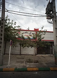 مرغ و ماهی پارس
