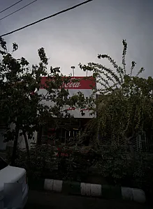 پروتئینی پانیذ