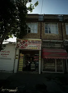پروتئینی ناصر