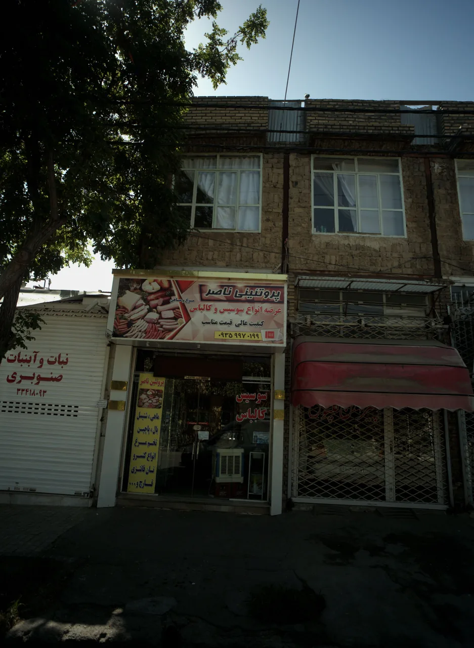 پروتئینی ناصر