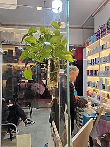 داروخانه دکتر مینائیان