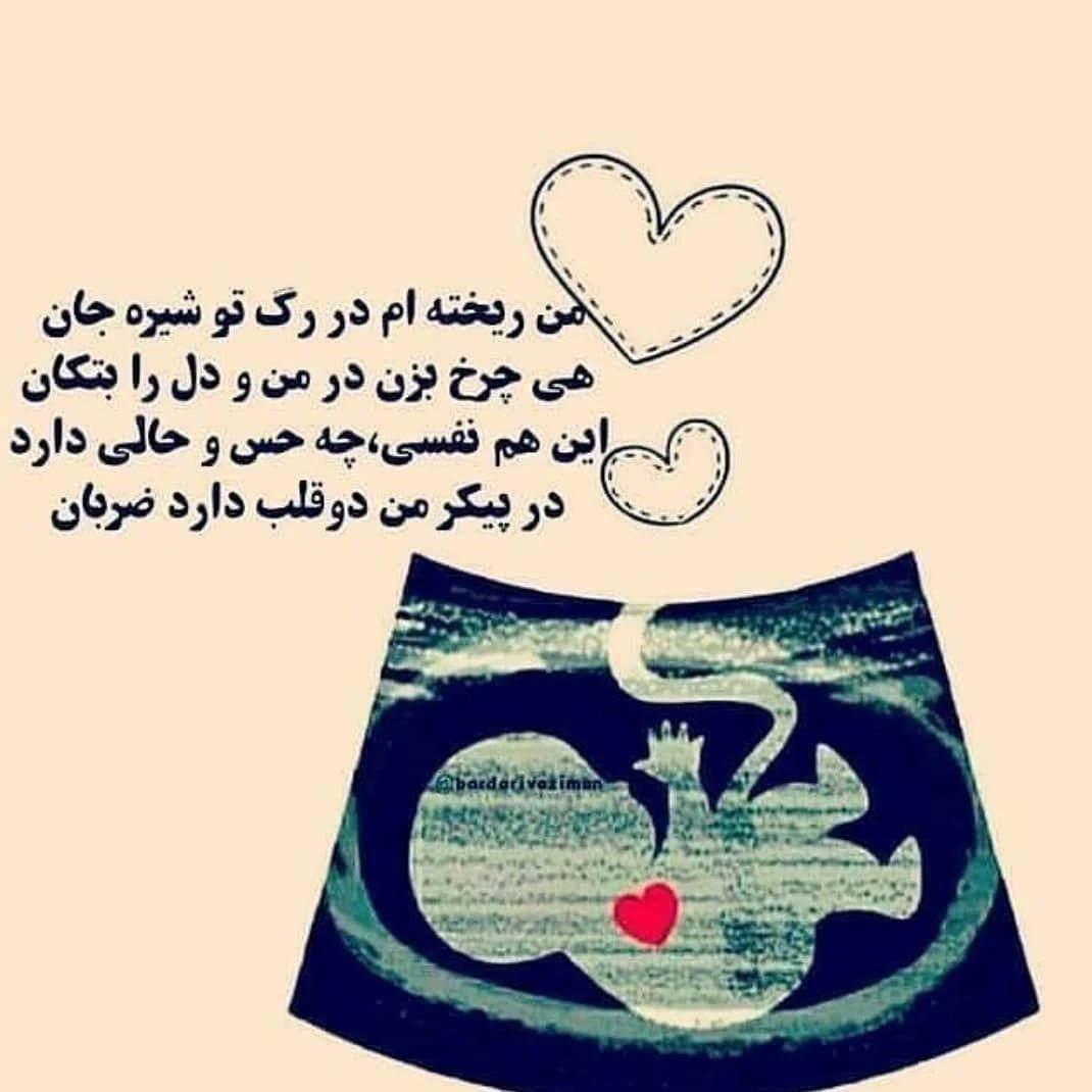 دکتر ناهید بهرامی - تصویر 3