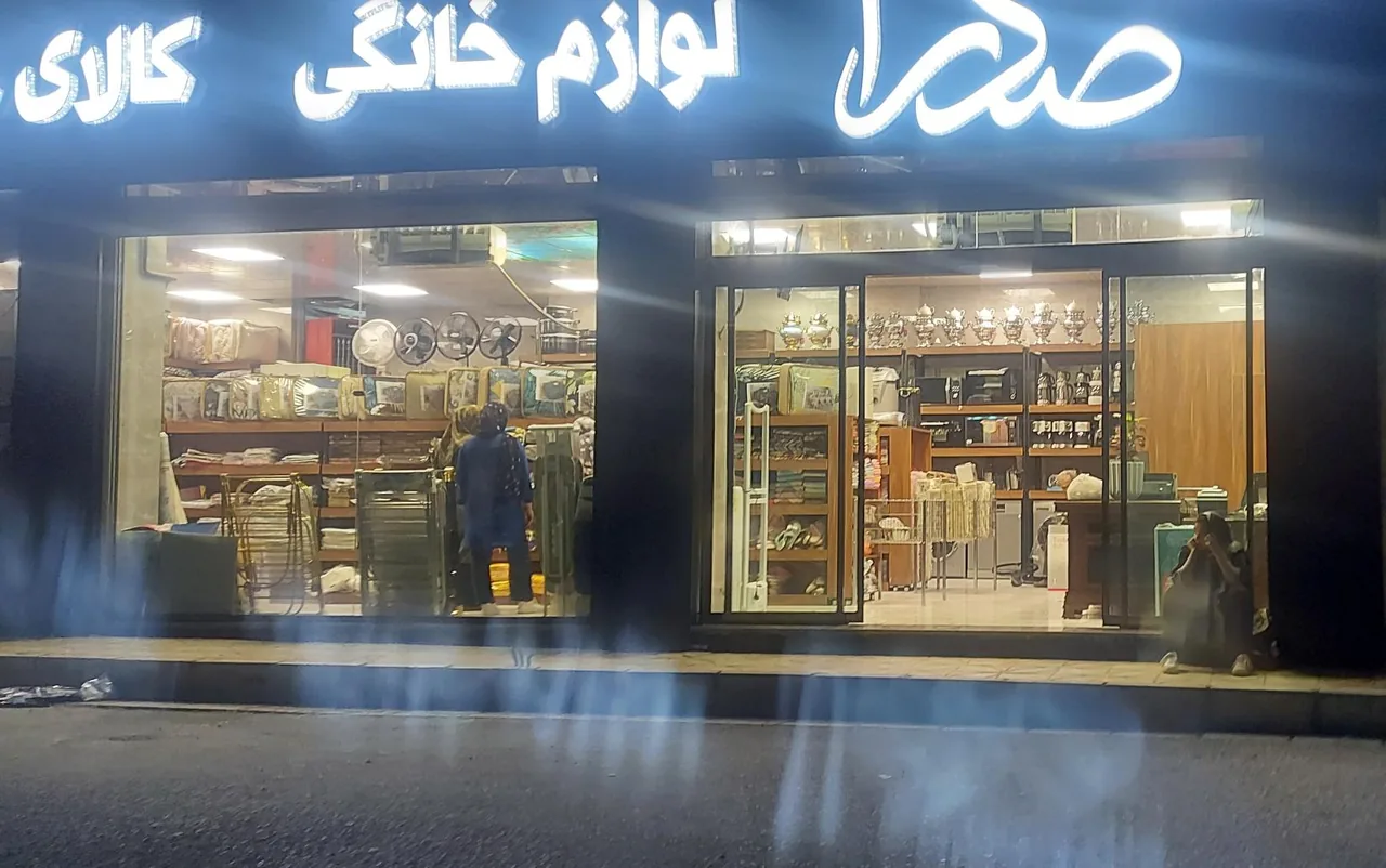 فروشگاه صدرا - تصویر 2