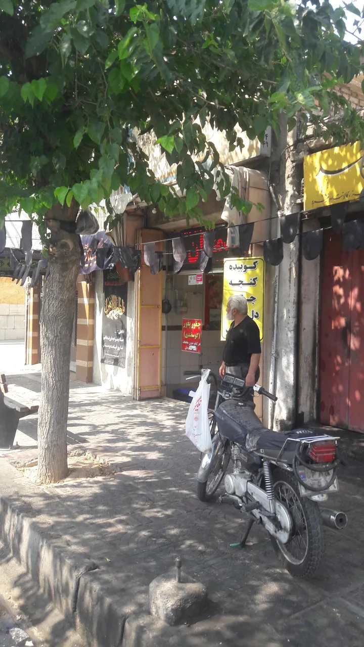 جگرسرای شیراز - تصویر 2