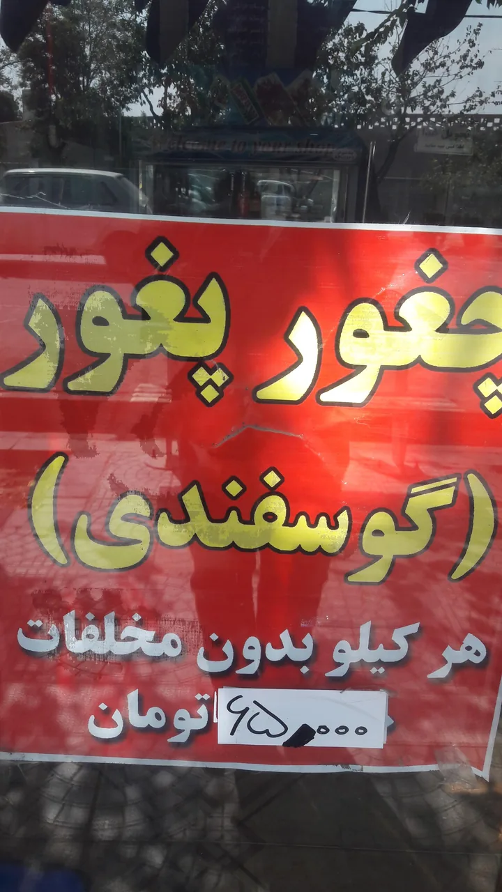 جگرسرای شیراز - تصویر 4