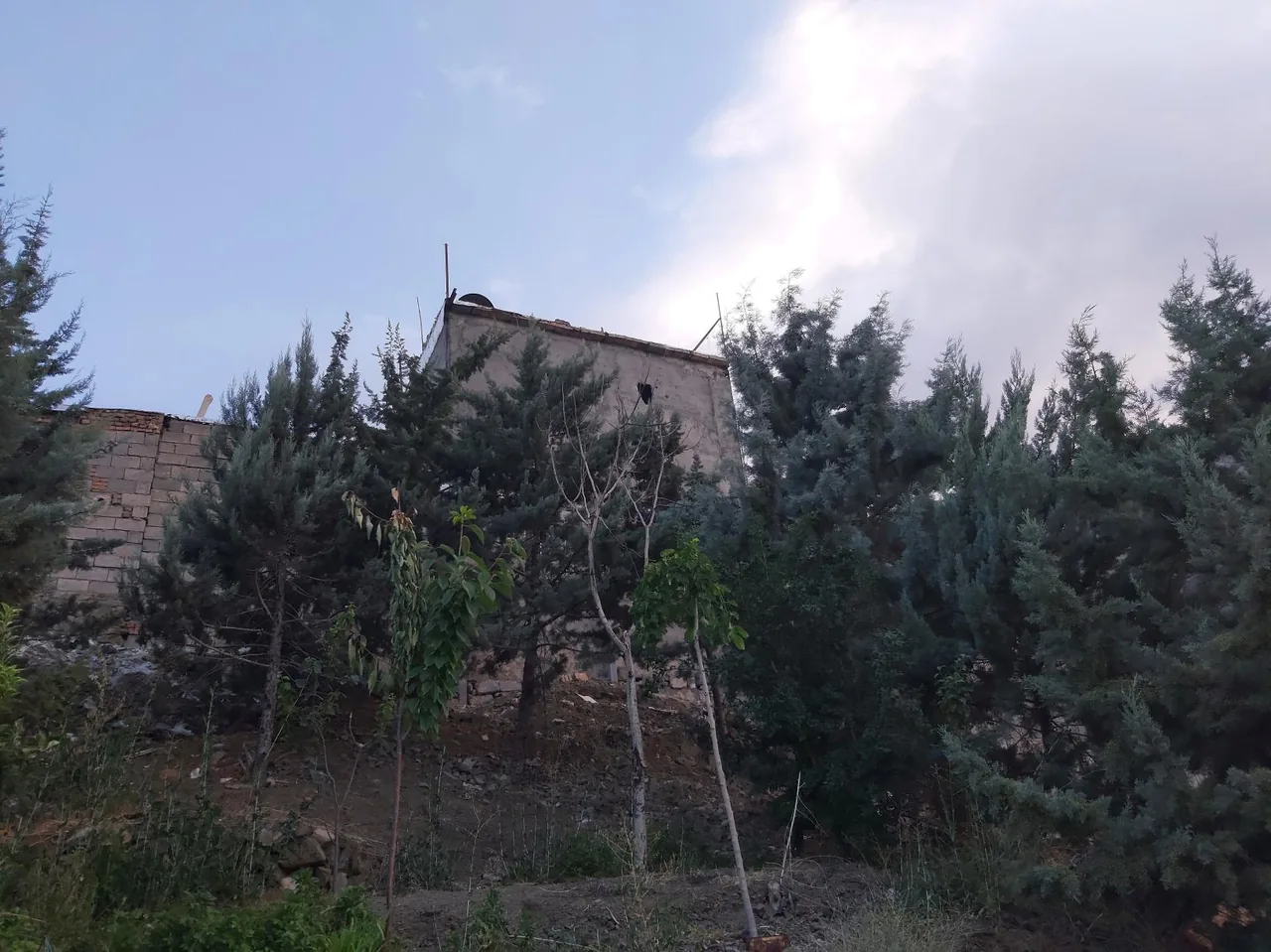خونه به خونه