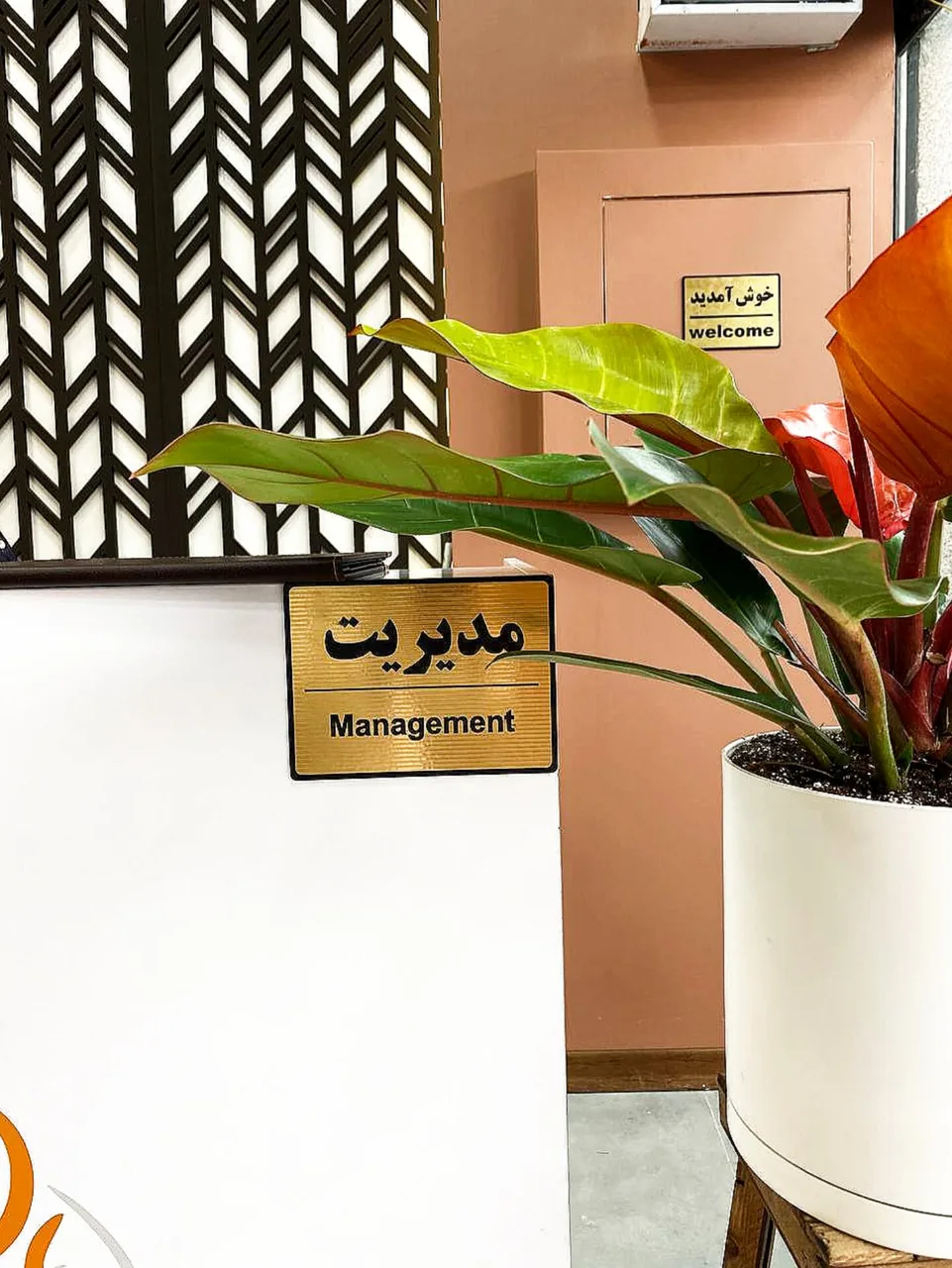 رستوران اکبرجوجه لشکری - تصویر 4