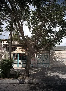 قنادی رئوف