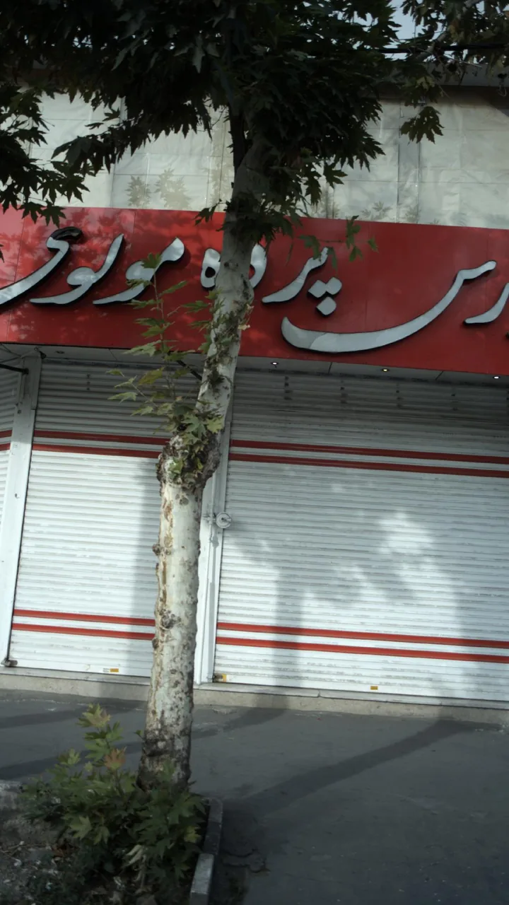 بورس پرده مولوی - تصویر 3