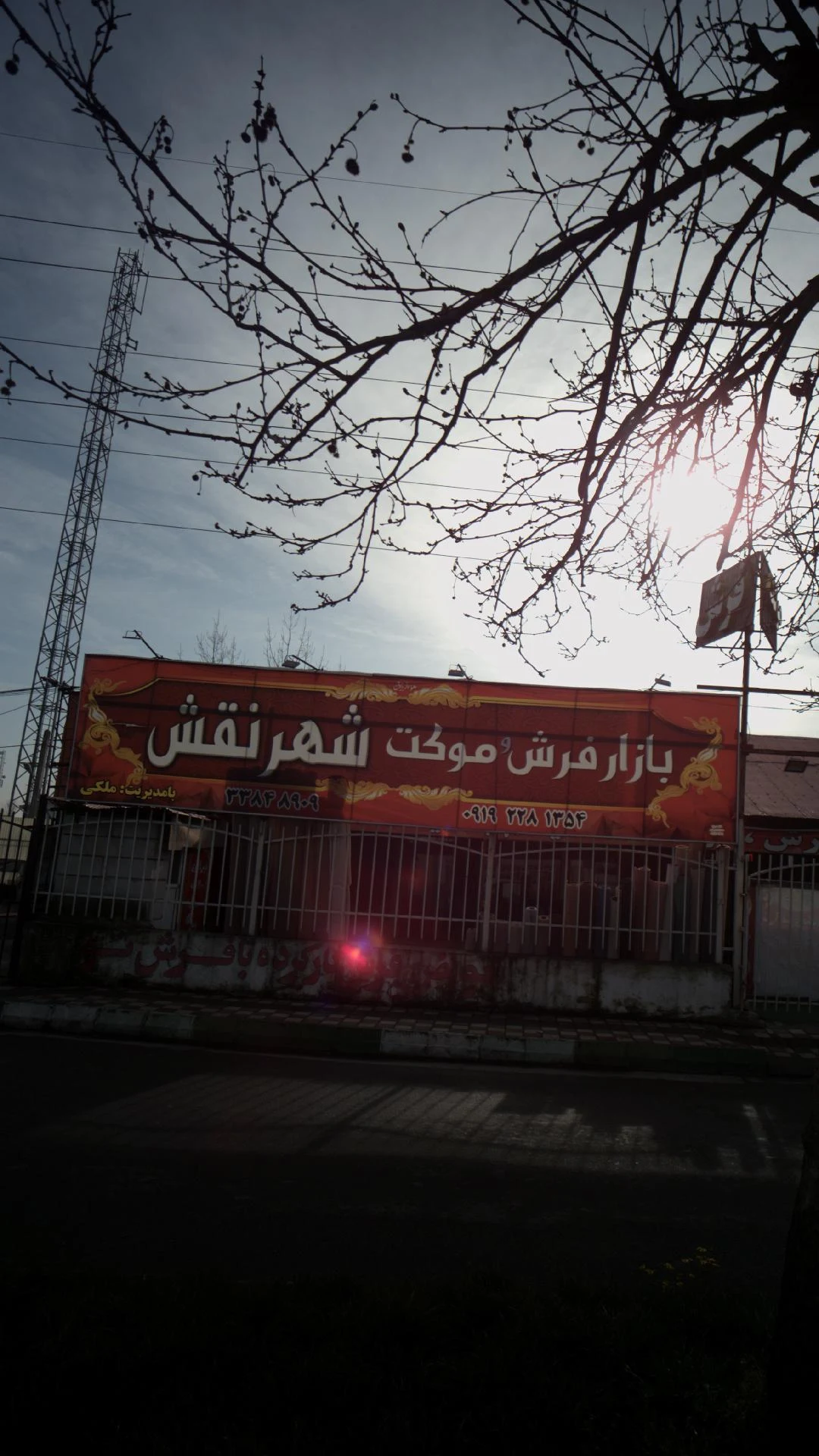 فرش و موکت زیگورات