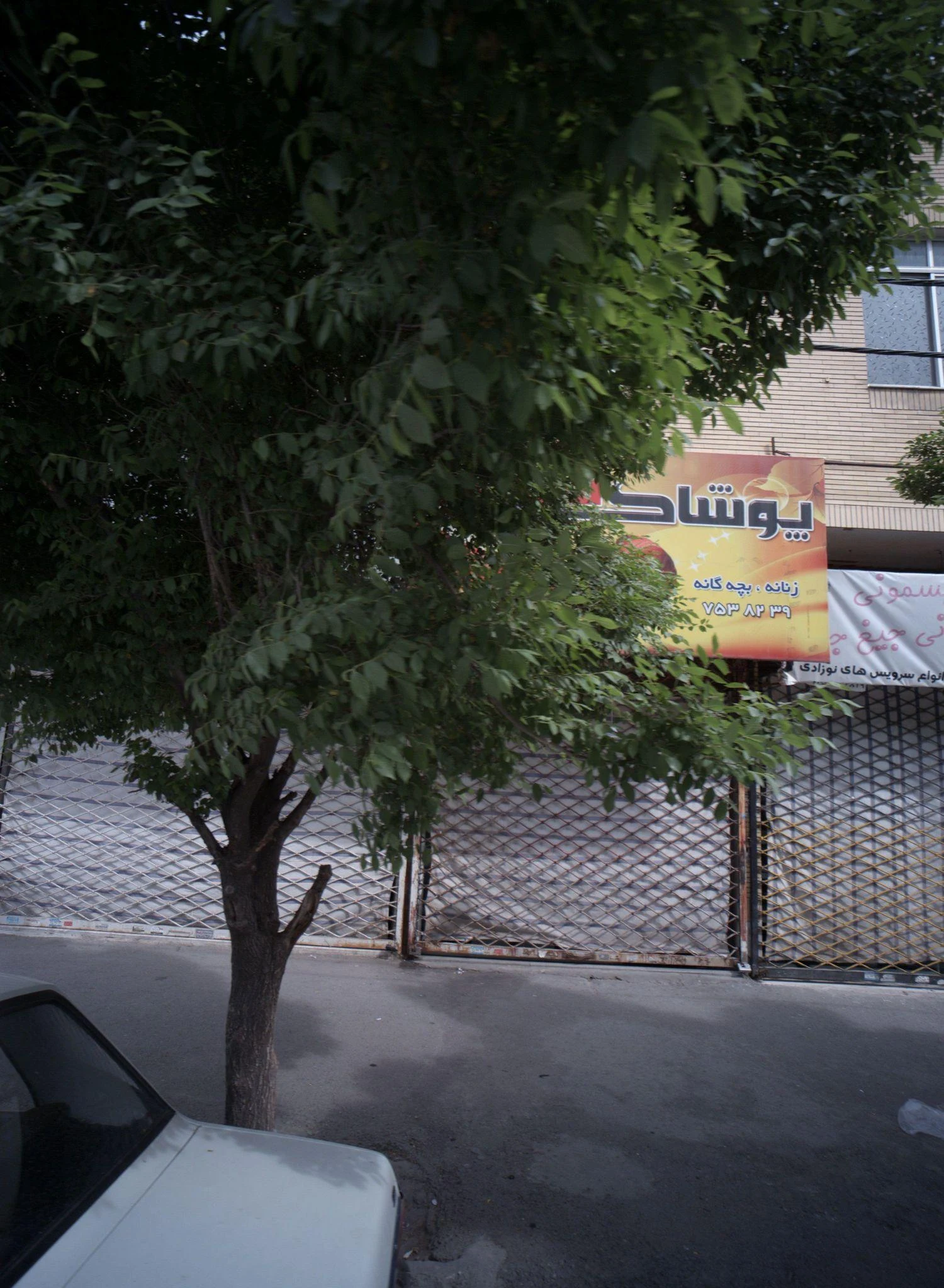 پوشاک شکوه