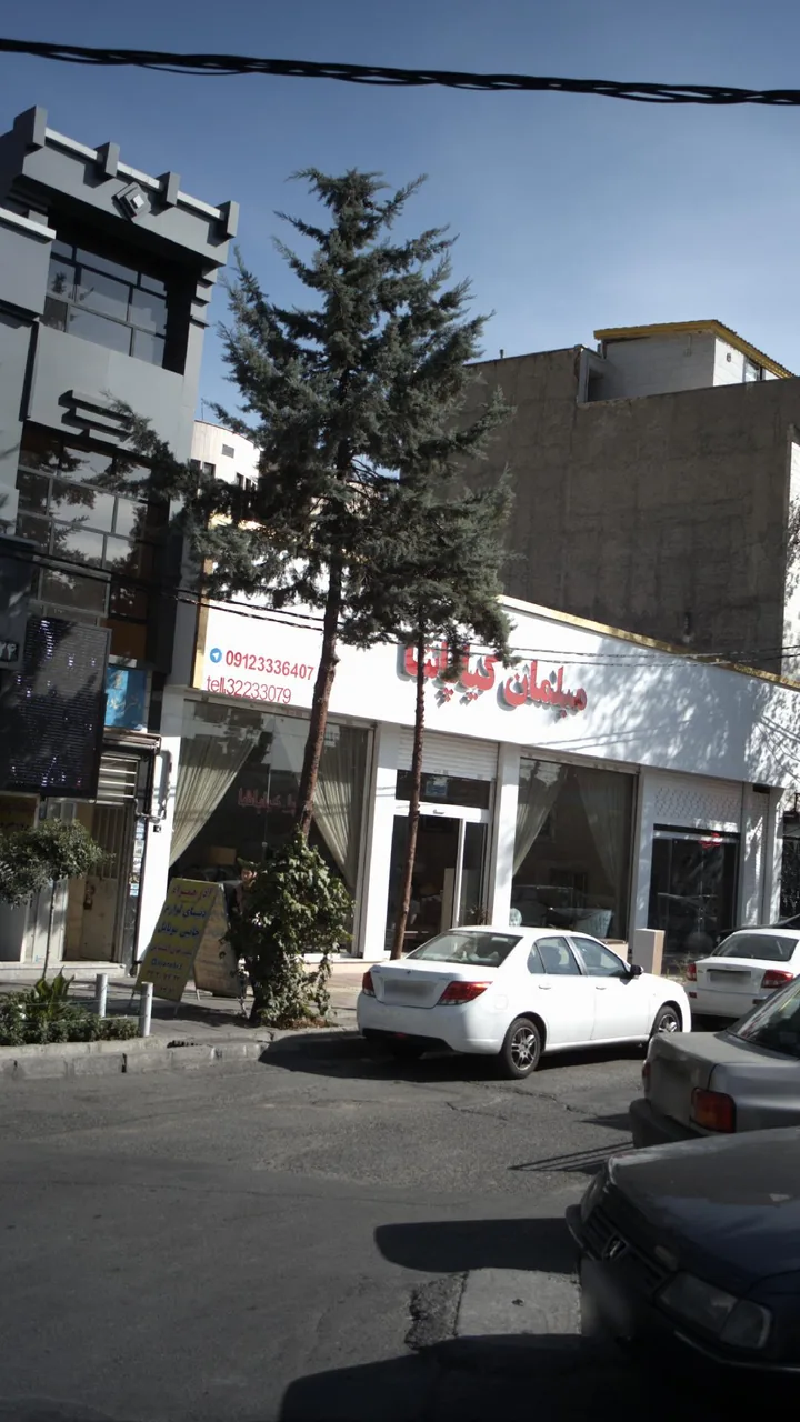 مبلمان کیا پاشا