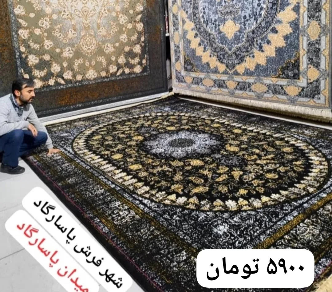 شهر فرش پاسارگاد - تصویر 5