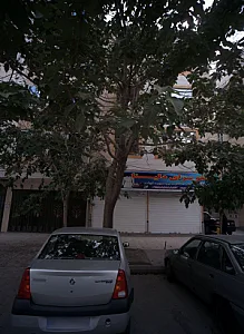 مانتوسرای دلینا