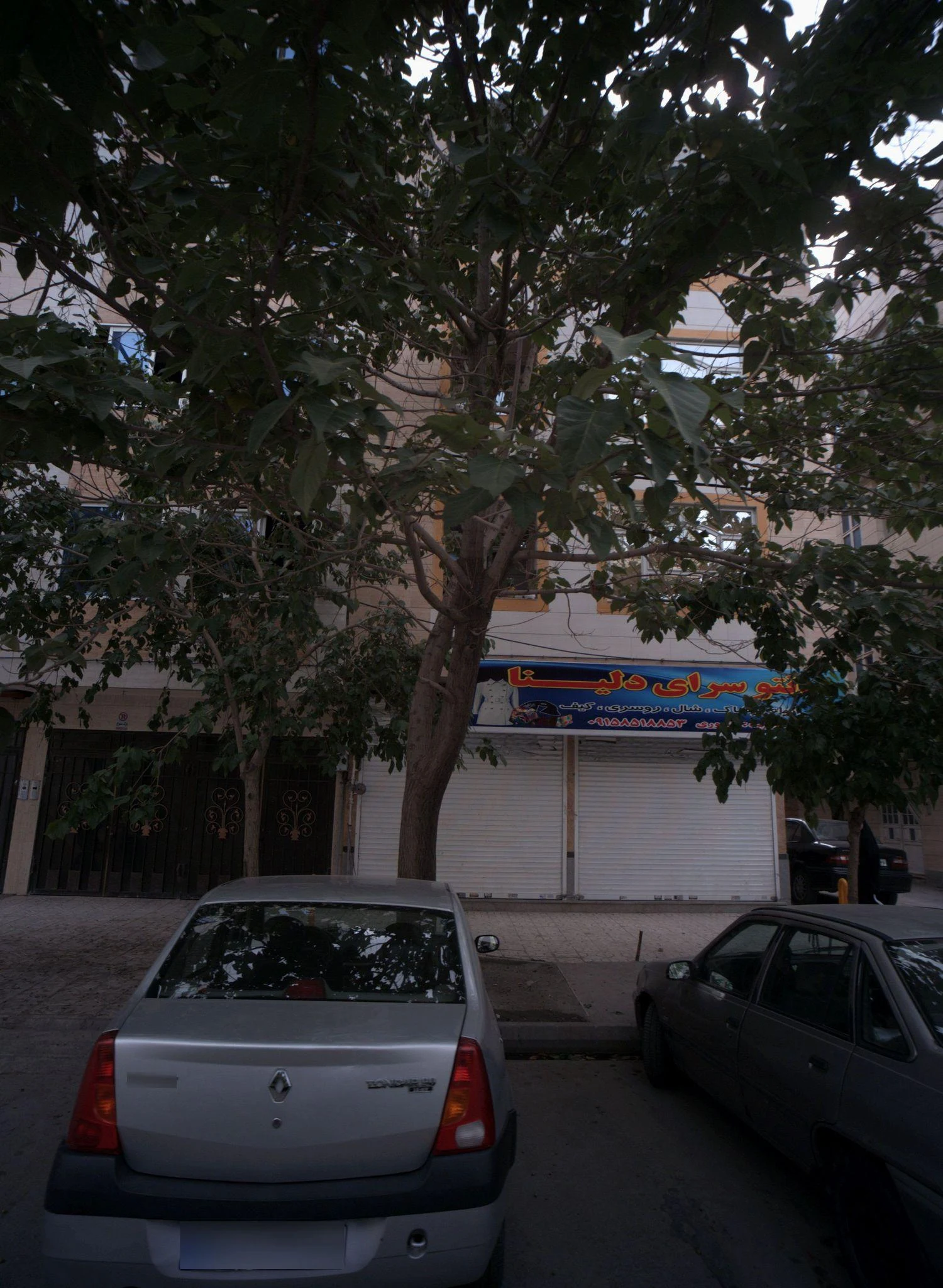 مانتوسرای دلینا - پوشاک زنانه در مشهد
