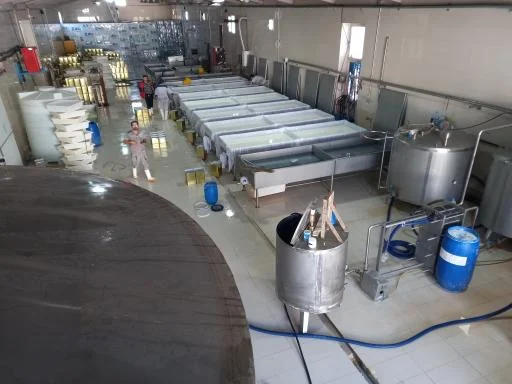 کارخانه پنیرسازی نادری