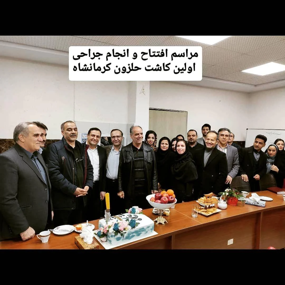 دکتر سهراب ربیعی فوق تخصص جراحی گوش - تصویر 2
