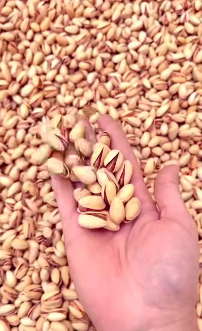آجیل و خشکبار بارنو